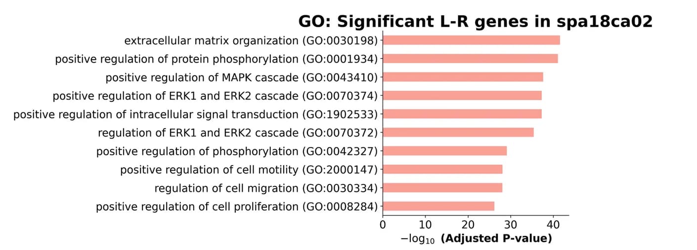 Open access visualization of Bar Plot, Gene Ontology, LR Pairs, Cell-Cell Communication, T Cells