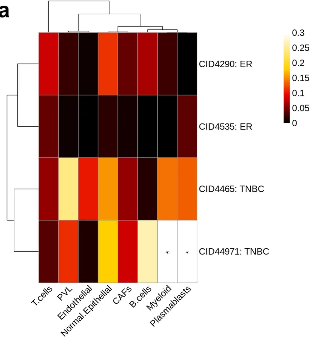 Open access visualization of Heatmap, Clustered, Breast Cancer, Spatial Transcriptomics, Cell Community