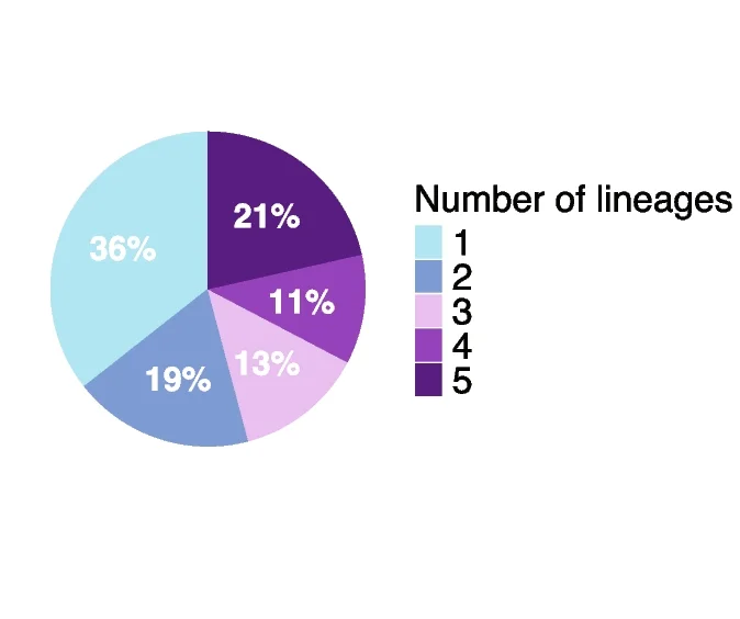 Open access visualization of Pie Chart, Cell Lineages, Candidate CREs, Distribution