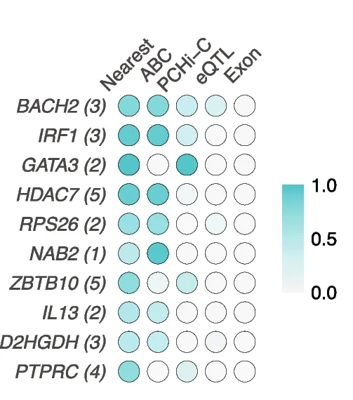 Open access visualization of Heatmap, Adult-Onset Asthma, Candidate Genes, Variants, ABC Model