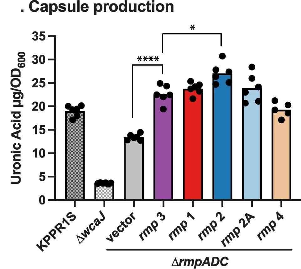 Open access visualization of Bar Plot, Error Bars, Uronic Acid Assay, KPPR1S Strain, Δ wcaJ Strain