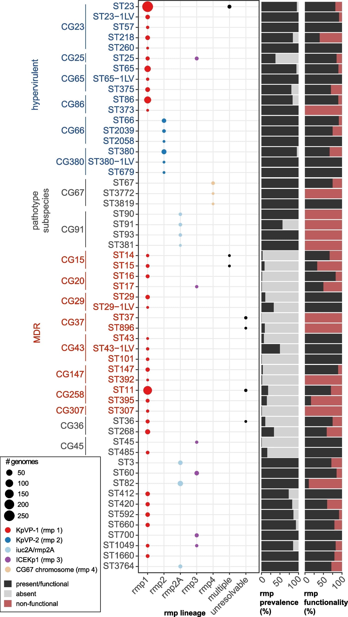 Open access visualization of Bubble Plot, Bar Plot, Stacked Bar Plot, K. pneumoniae, Sequence Types