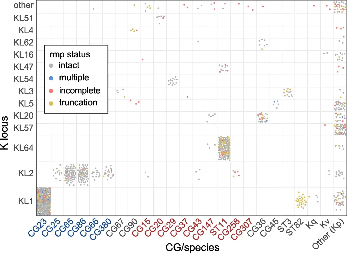 Open access visualization of Scatter Plot, rmp, K Locus Groups, KpSC Clonal Groups, Species