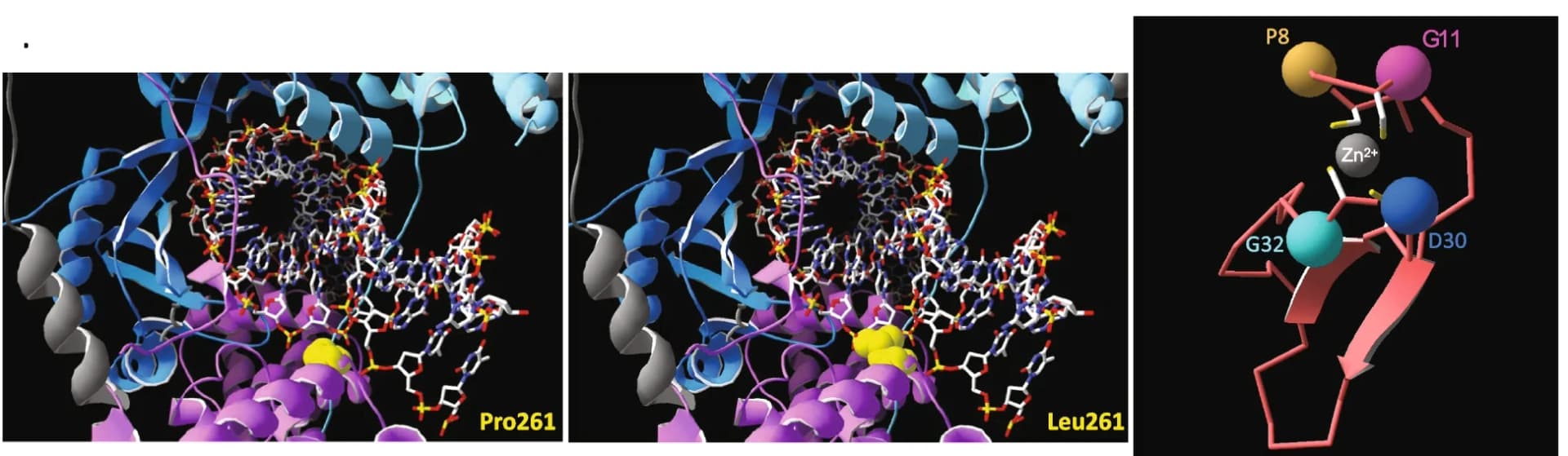 Open access visualization of Protein Structure, Chemical Structure, 3D Protein Modeling, Missense Variants, DNA Backbone