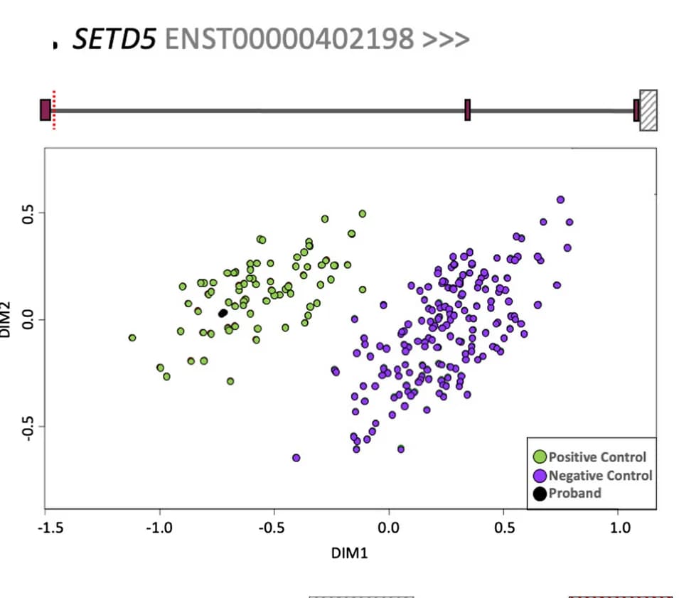Open access visualization of Scatter Plot, Multidimensional Scaling Plot, Differential Methylation, SETD5, Variants