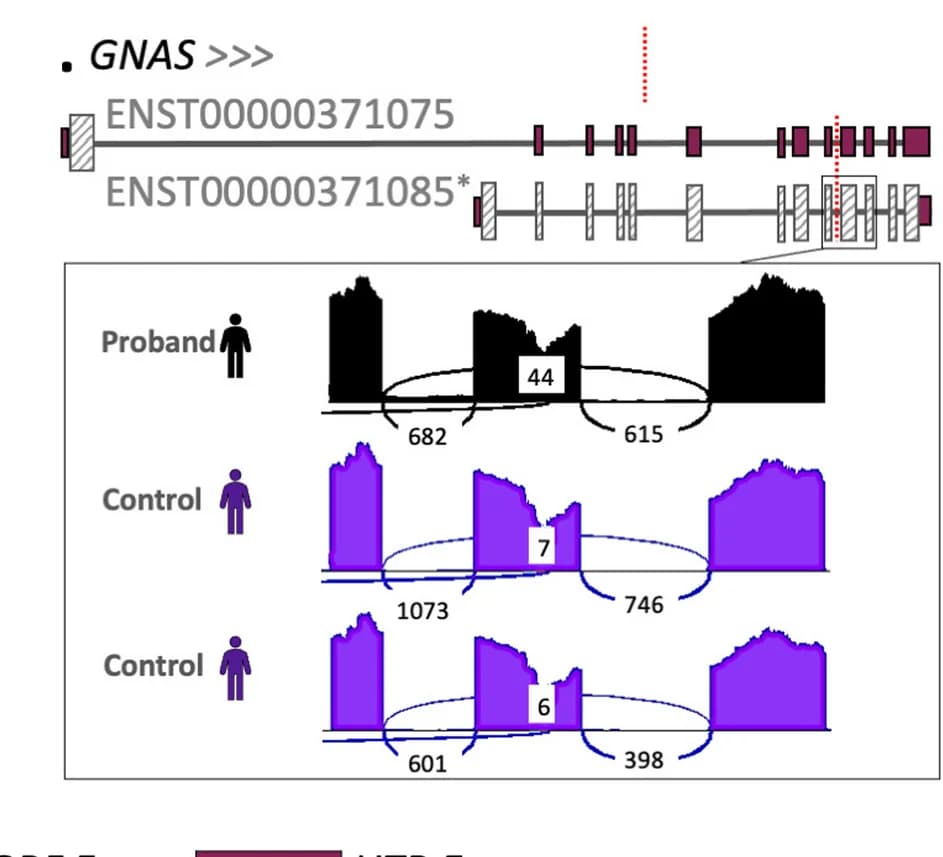 Open access visualization of Line Plot, Sashimi Plot, Aberrant Splicing, MANE Plus Clinical Transcript, ENST00000371085