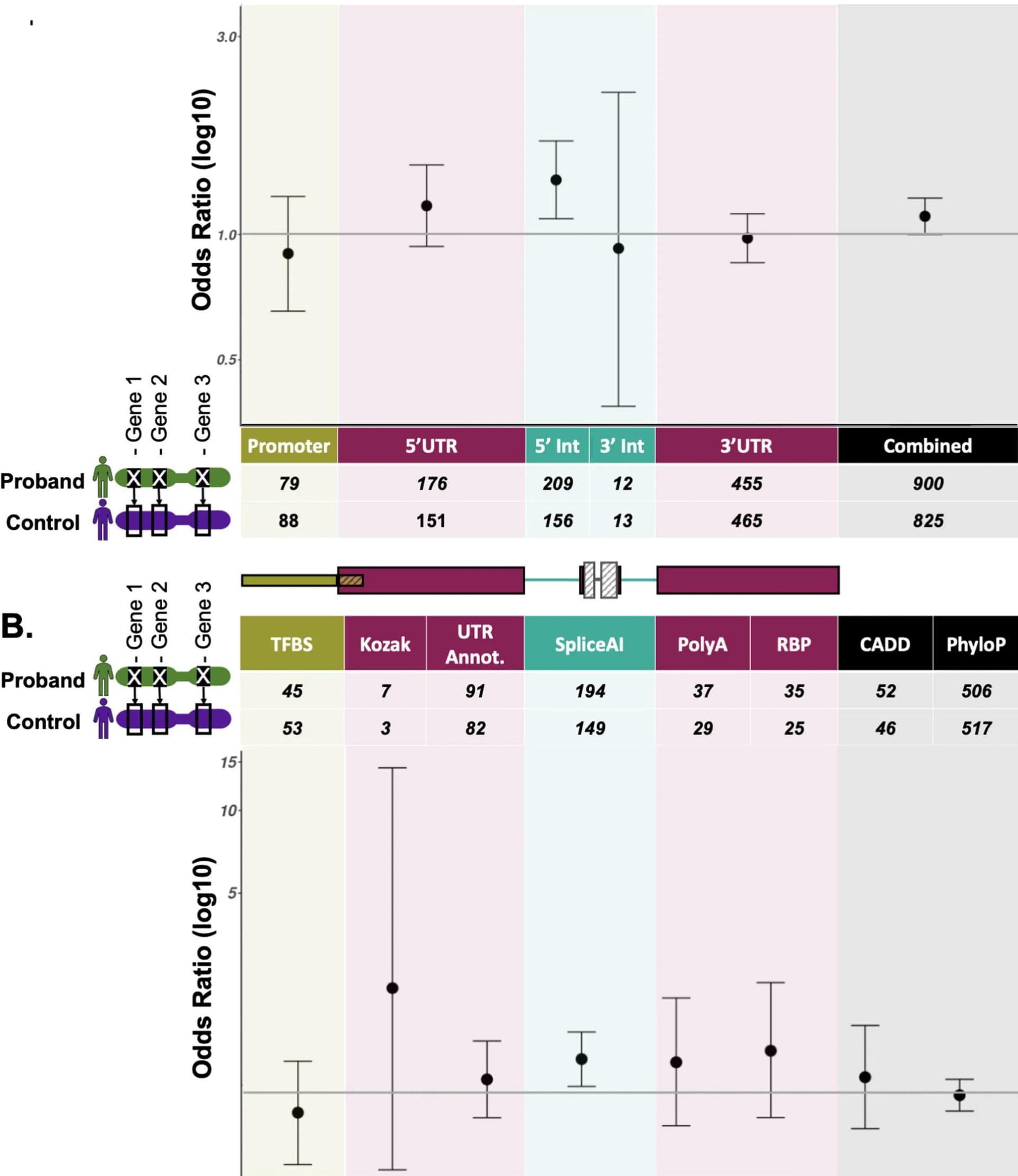 Open access visualization of Scatter Plot, Error Bars, Burden Testing, Variants, Odds Ratios
