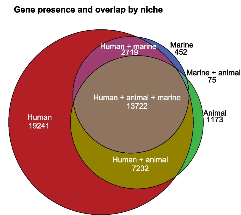 Open access visualization of Venn Diagram, Euler Diagram, Unique Genes, Pangenome, Niche