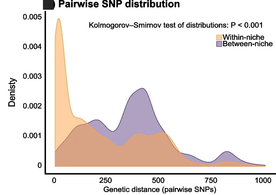 Open access visualization of Density Plot, Single Nucleotide Polymorphism, Genome Pairs, Niches