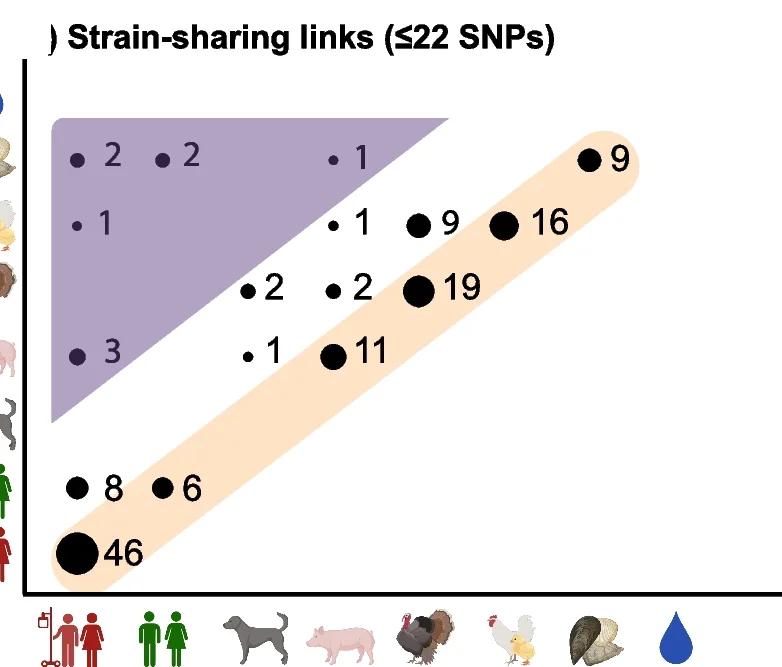 Open access visualization of Scatter Plot, Strain-Sharing Links, Genomes, Source Pairs, Clusters