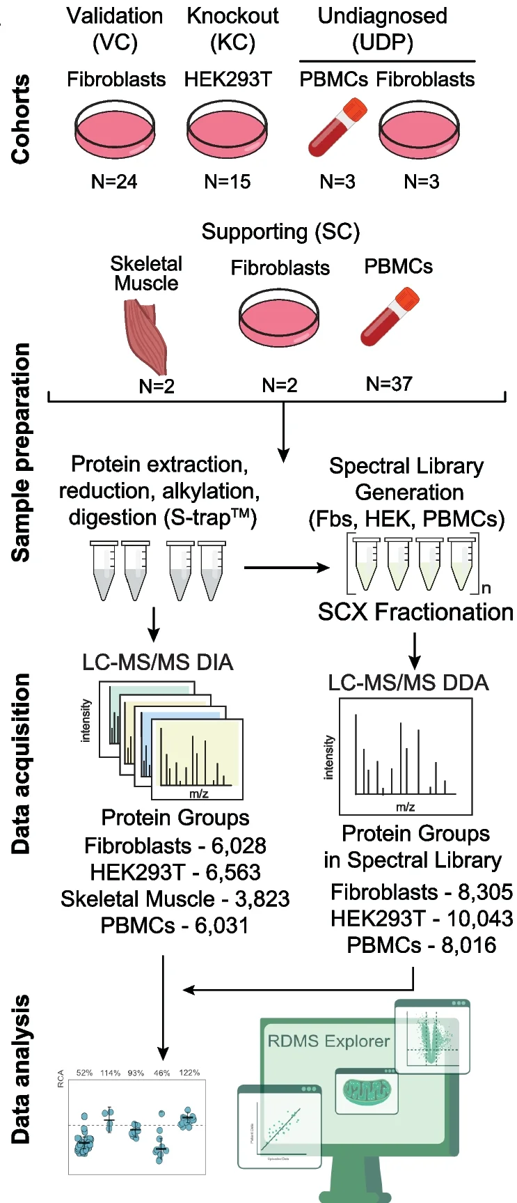 Open access visualization of Workflow, Scatter Plot, Bar Plot, Quantitative Proteomics, Experimental Design