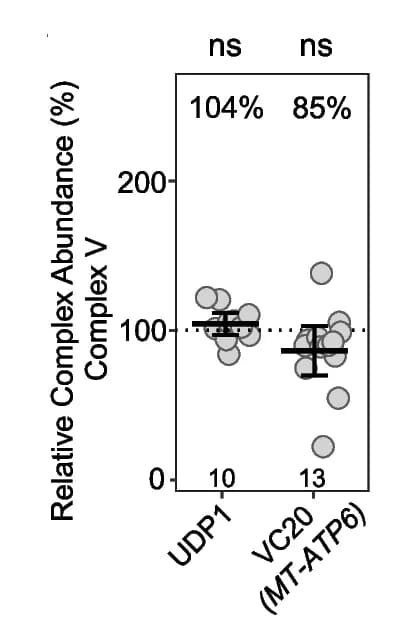 Open access visualization of Scatter Plot, Error Bars, Relative Complex Abundance, Complex V Subunits, Mitochondrial Disorder Patients