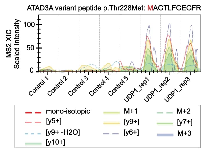 Open access visualization of Line Plot, Spectral Intensity, ATAD3A p.Thr228Met Variant, Peptide, Mitochondrial Disorder Patient