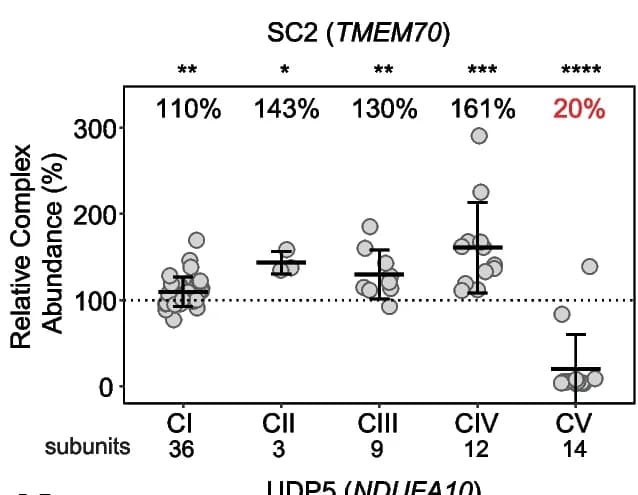Open access visualization of Scatter Plot, Error Bars, Relative Complex Abundance, OXPHOS Subunits, Mitochondrial Disorder Patient