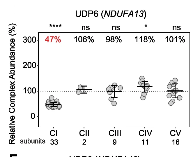 Open access visualization of Scatter Plot, Error Bars, Relative Complex Abundance, OXPHOS Complexes, PBMCs