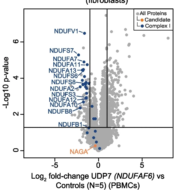 Open access visualization of Volcano Plot, Scatter Plot, Whole Cell Proteins, PBMCs, Complex I Subunits