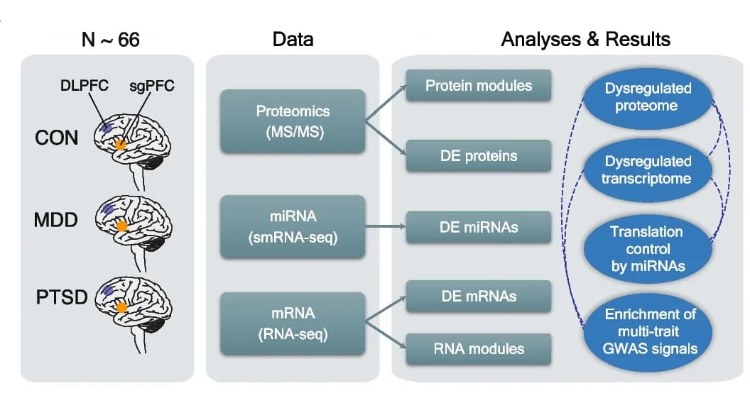 Open access visualization of Workflow, Flowchart, Study Design, Multi-omics, Data Integration