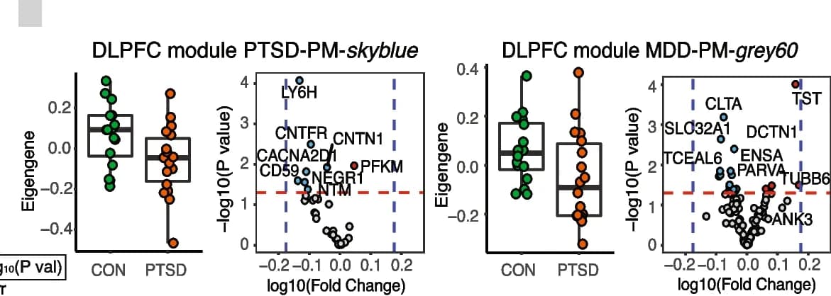 Open access visualization of Box Plot, Scatter Plot, Volcano Plot, Eigenproteins, Volcano Plots