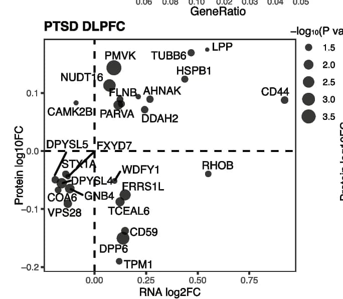 Open access visualization of Scatter Plot, Bubble Plot, Volcano Plot, Transcriptional Differential Expression, Protein Differential Expression