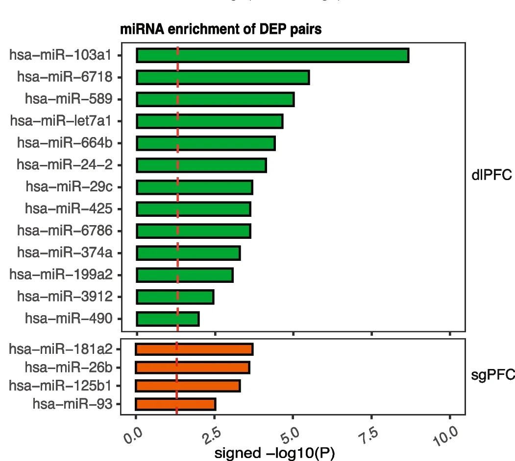 Open access visualization of Bar Plot, miRNA Enrichment Analysis, DEPs, Regulatory miRNAs, Targets