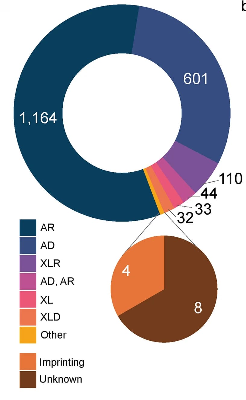 Open access visualization of Pie Chart, Donut Chart, NDD Disease Gene Associations, Autosomal Recessive, Autosomal Dominant