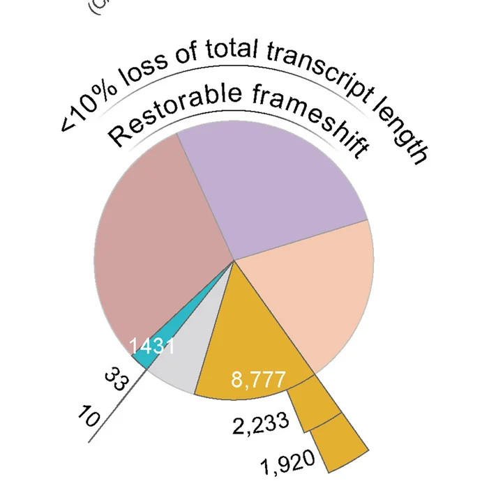 Open access visualization of Pie Chart, Sunburst Plots, Exon-Skipping, Reading Frame Restoration