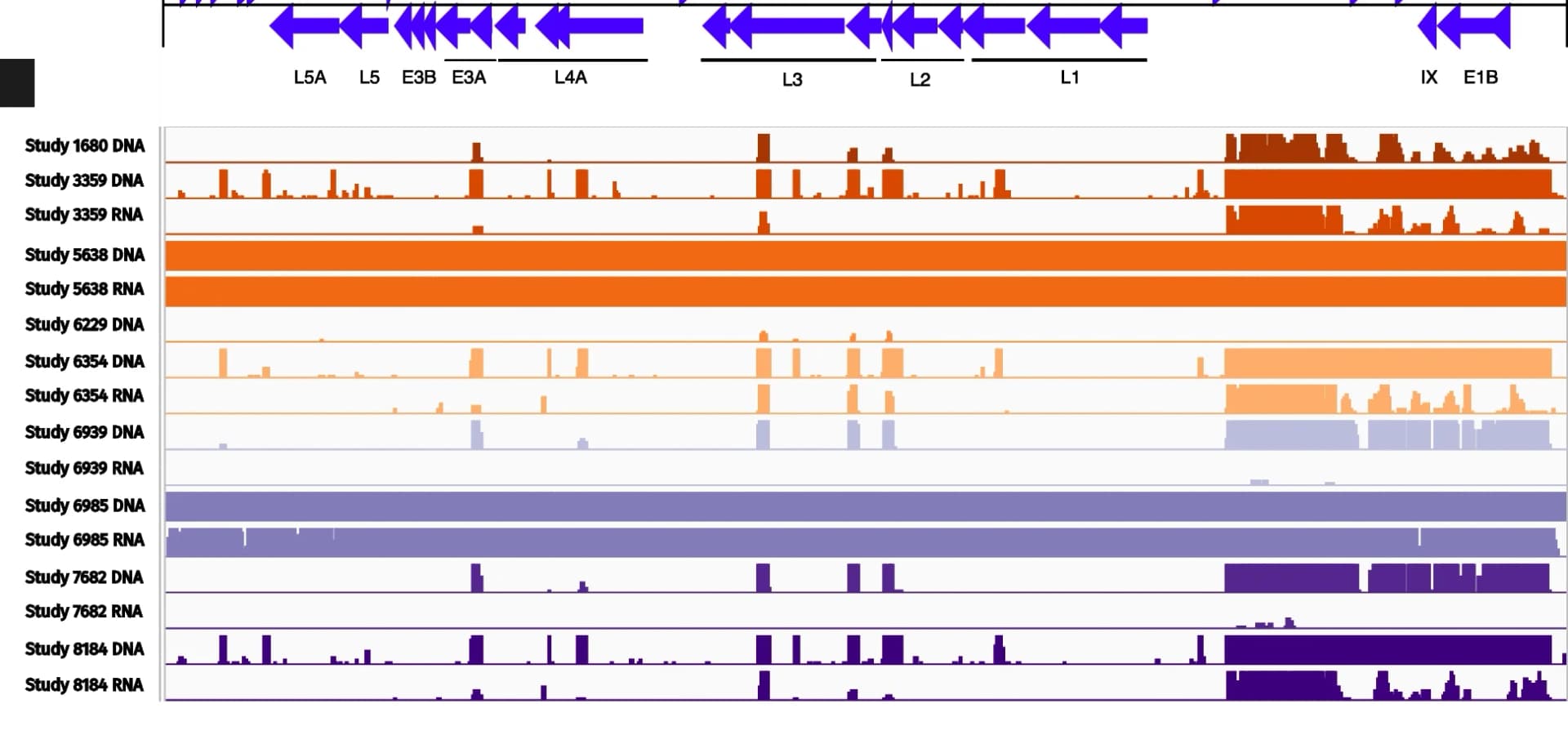 Open access visualization of Bar Plot, Stacked Bar Plot, Adenovirus, Genomic Material, Transcript
