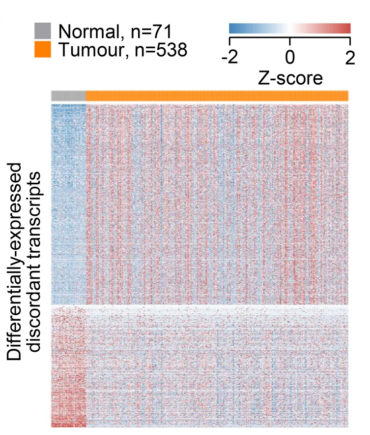 Open access visualization of Heatmap, RNA Isoform Expression, Discordant Transcripts, Upregulated Transcripts, Downregulated Transcripts
