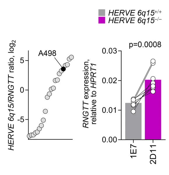 Open access visualization of Scatter Plot, Bar Plot, Line Plot, HERVE 6q15, RNGTT