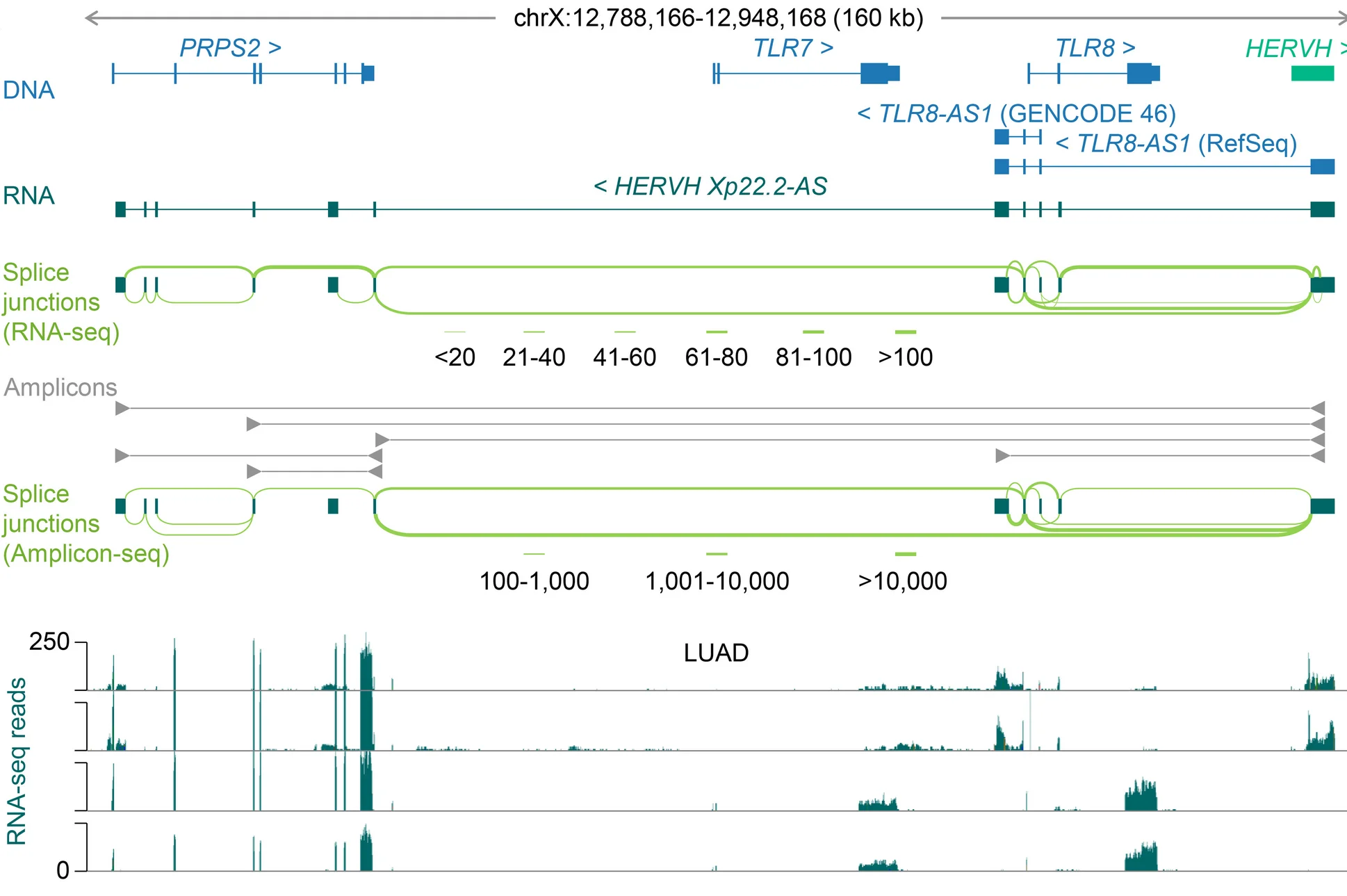 Open access visualization of Line Plot, Workflow, HERVH, TLR7, TLR8
