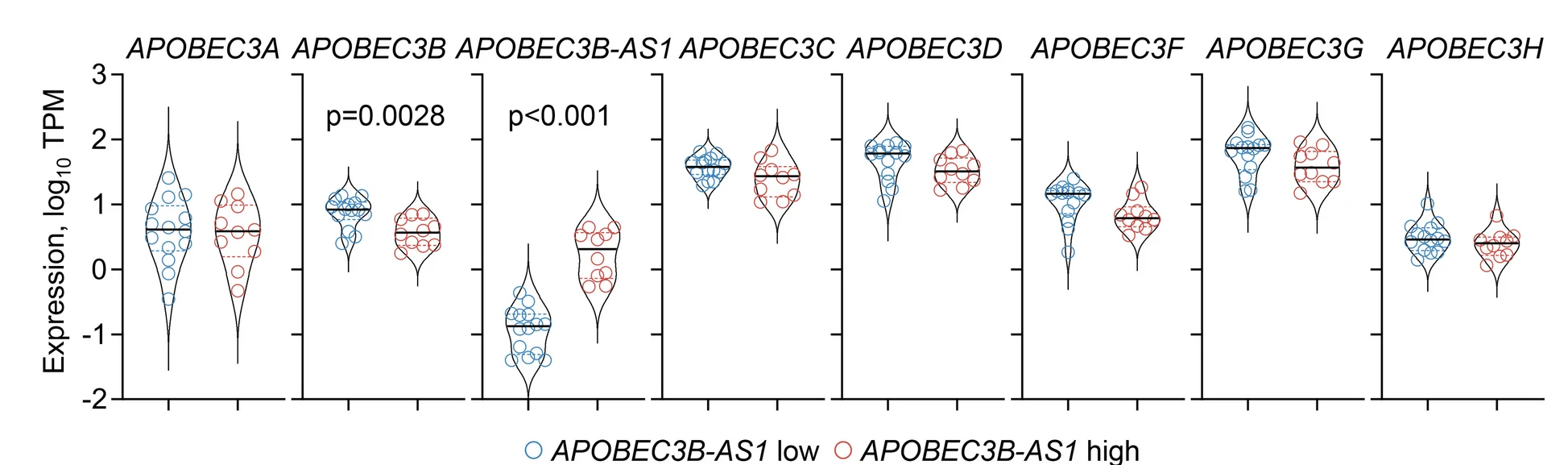 Open access visualization of Violin Plot, Scatter Plot, Expression, TPM, APOBEC3B-AS1
