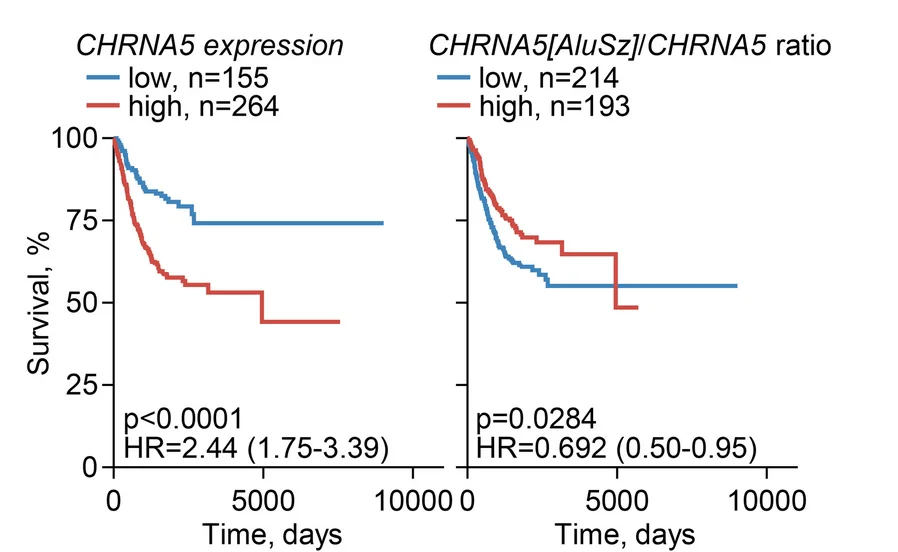 Open access visualization of Survival Curve, Line Step, Overall Survival, LUAD, CHRNA5 Expression
