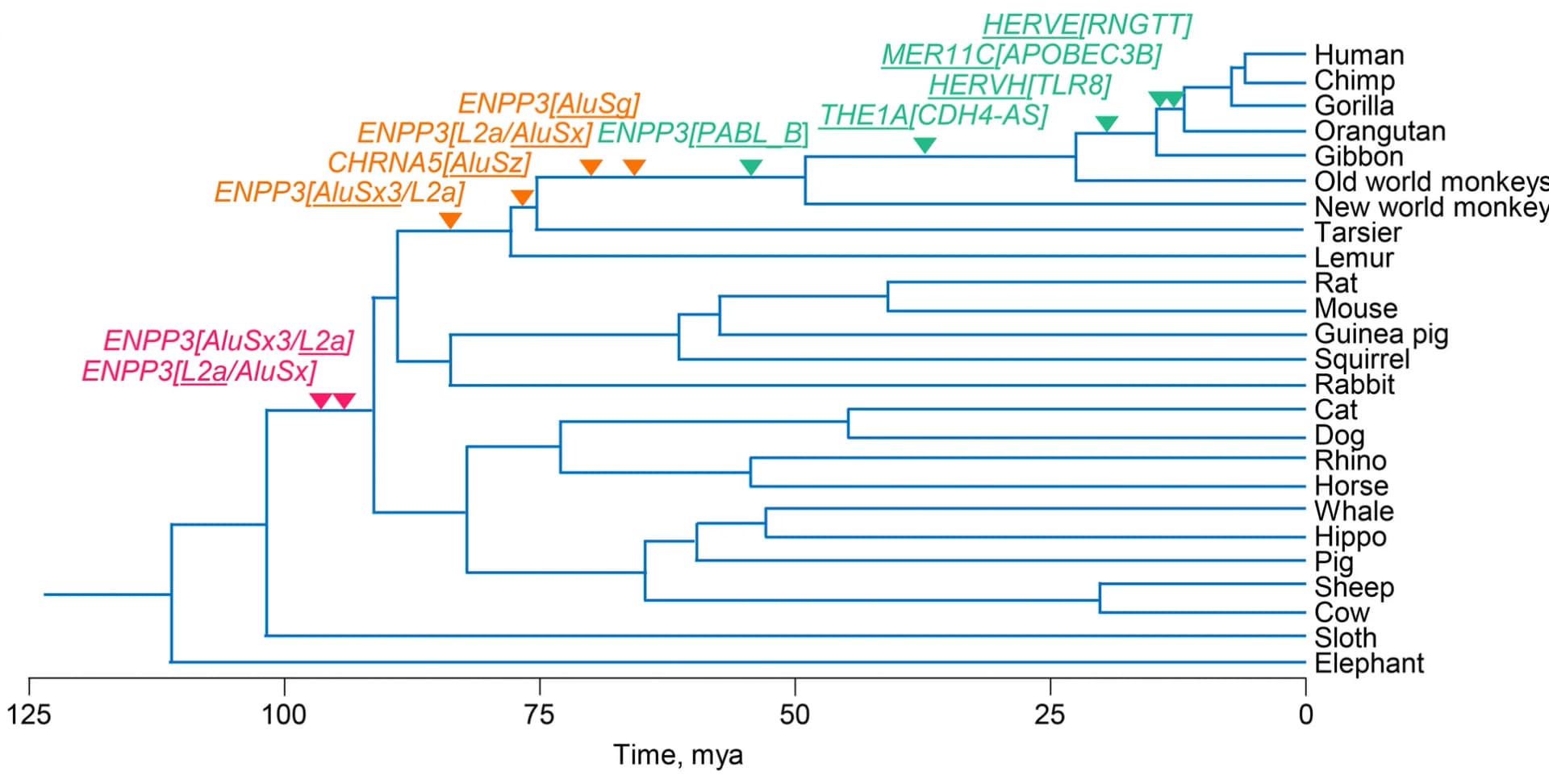 Open access visualization of Network, Pathway, Line Plot, Evolutionary Age, RTE Integrations