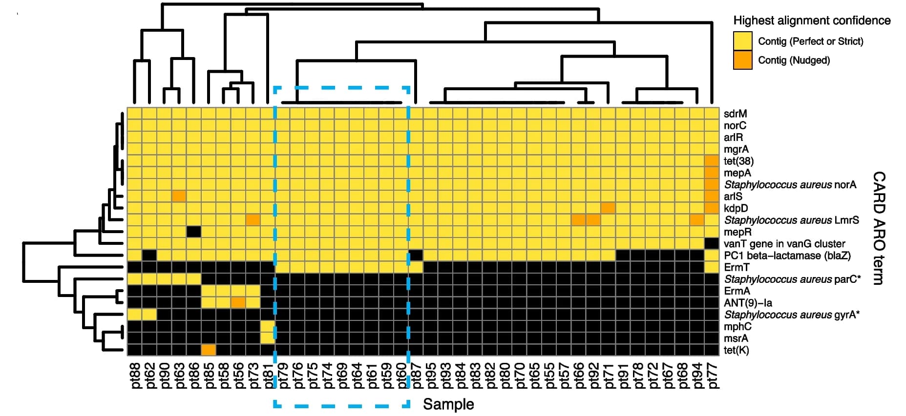 Open access visualization of Heatmap, Clustered, AMR Gene Profiles, WGS, Isolates