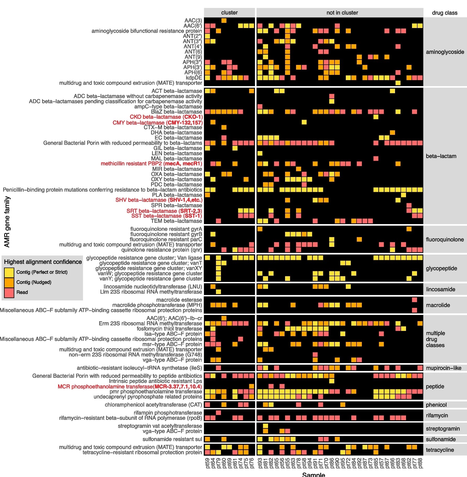 Open access visualization of Heatmap, mNGS, AMR Gene Families, WGS, S. Aureus