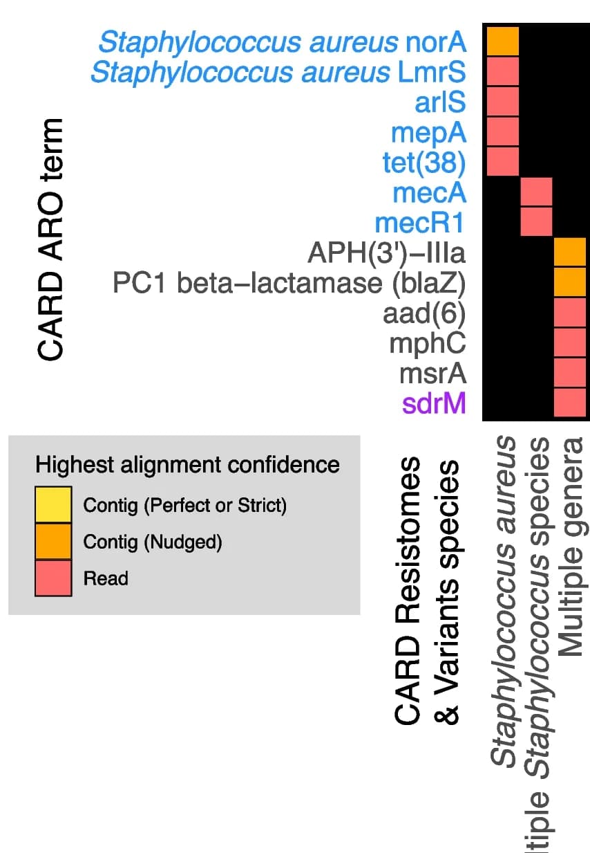 Open access visualization of Heatmap, AMR Genes, Species Prediction, AMR Module, CARD Resistomes Database