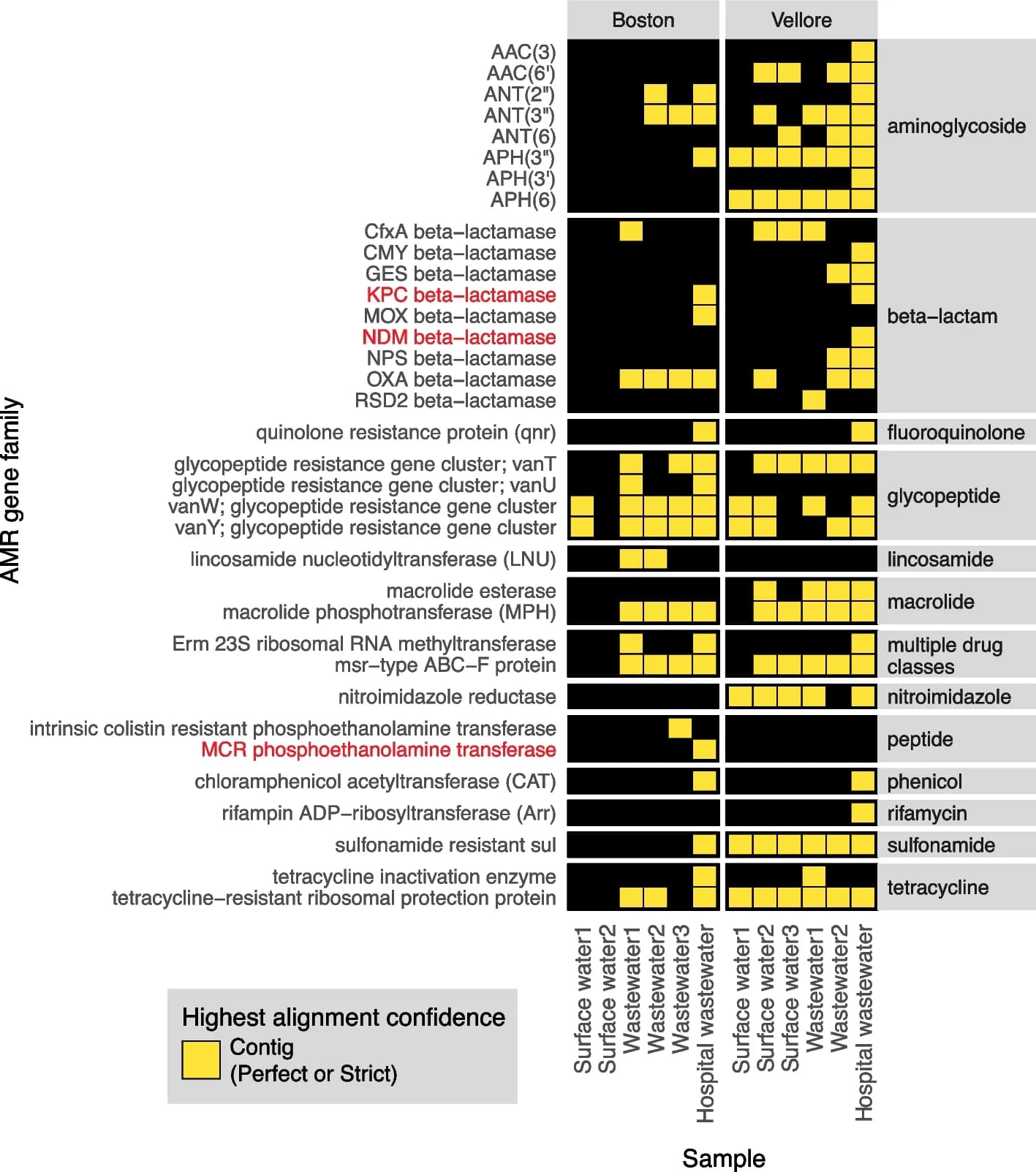 Open access visualization of Heatmap, AMR Gene, Environmental Water Samples, Surface Water, Wastewater