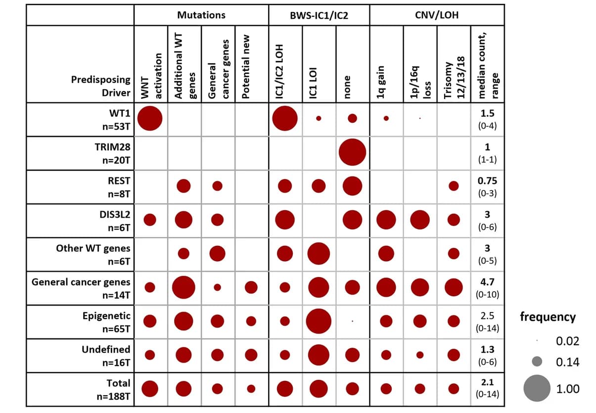Open access visualization of Bubble Plot, Somatic Alterations, Predisposition Subgroups