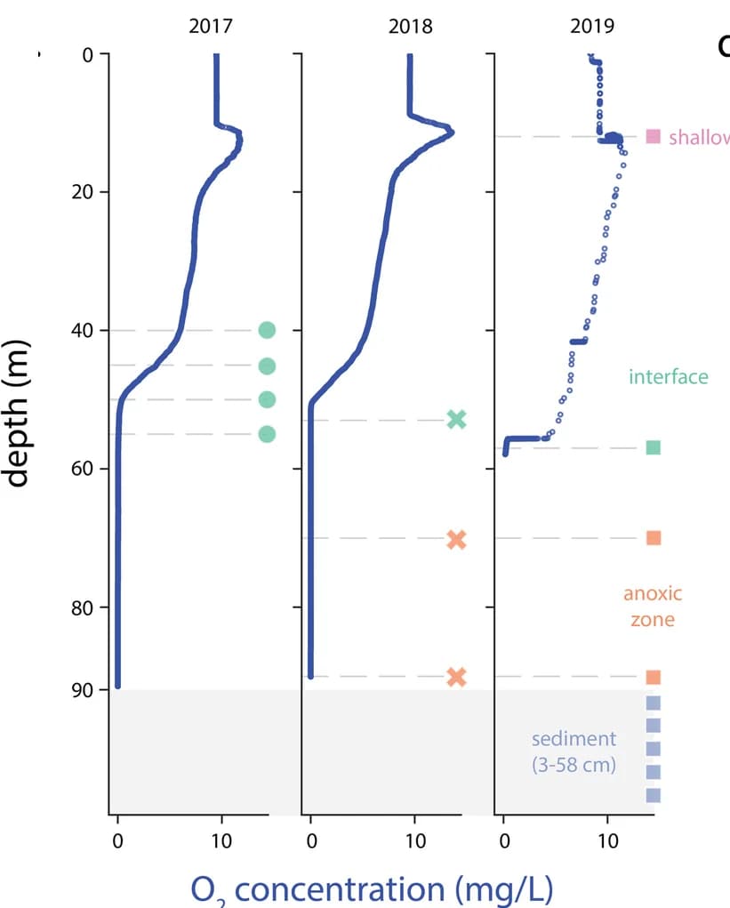 Open access visualization of Line Plot, Scatter Plot, Oxygen Profiles, Lake Water Column, Sampling Depths