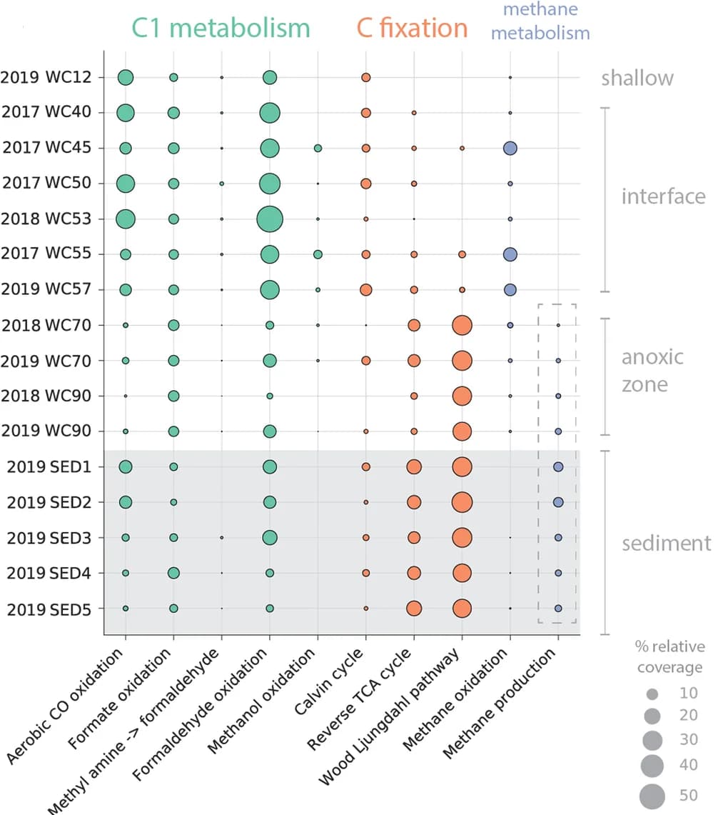 Open access visualization of Bubble Plot, Genome, Metagenomic, C1 Pathways, Methane Production