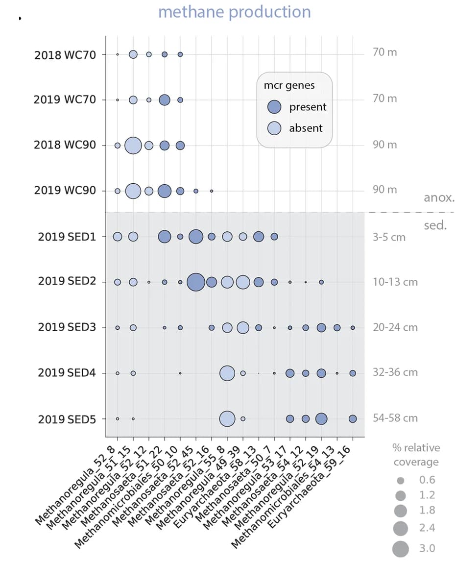 Open access visualization of Bubble Plot, Relative abundance, Genome, Methanogenic Lineages, Methyl-coenzyme M reductase