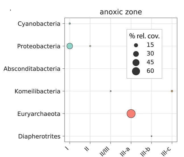 Open access visualization of Scatter Plot, Bubble Plot, Carbon Fixation, CO2 Incorporation, RuBisCO