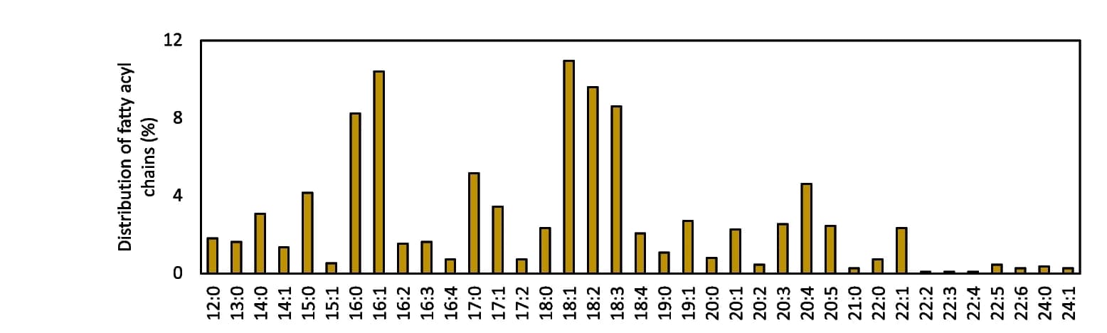 Open access visualization of Bar Plot, Fatty Acyl Chains, Glycerolipids