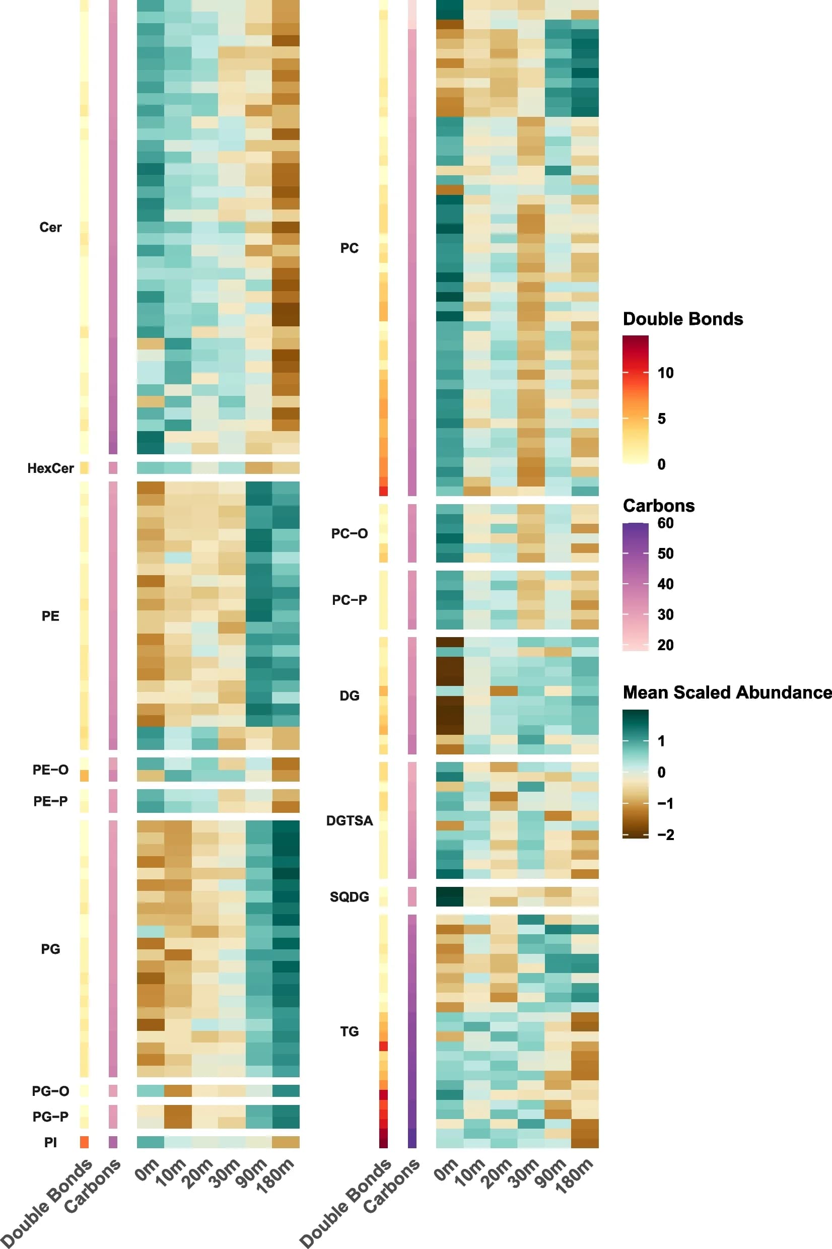 Open access visualization of Heatmap, Clustered, Lipid Species, Soil Wetting, Fatty Acid Carbons