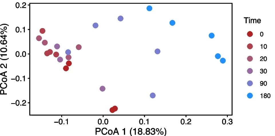 Open access visualization of Scatter Plot, PCA, PCoA, 16S rRNA gene, archaeal/bacterial