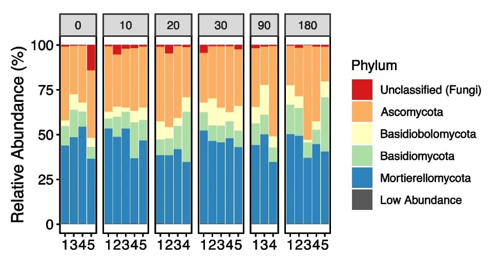 Open access visualization of Stacked Bar Plot, Stacked Bar Charts, Relative Abundance, Fungal, Microbial Community