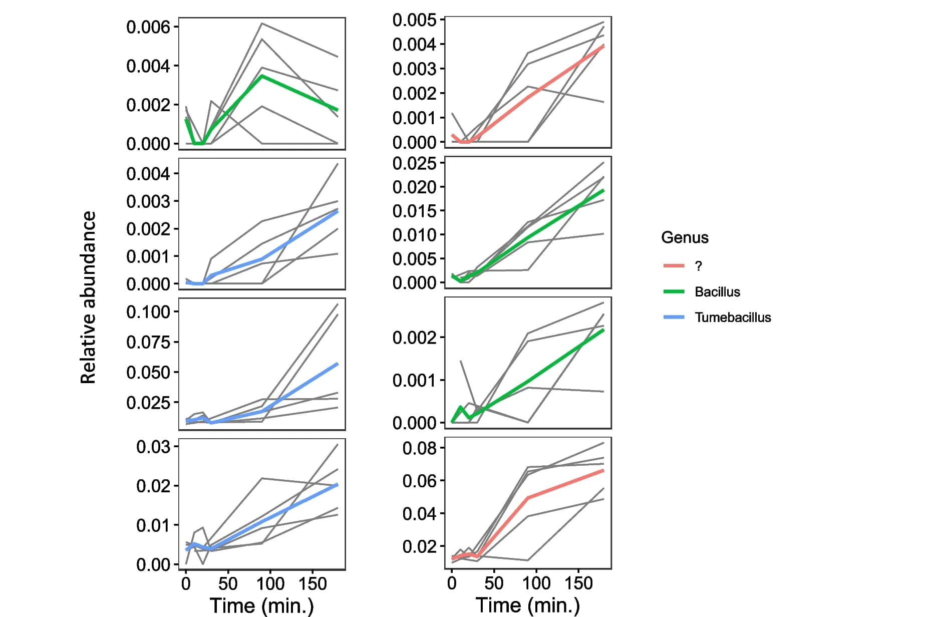 Open access visualization of Line Plot, ASV, Firmicutes, Relative Abundance, Replicates