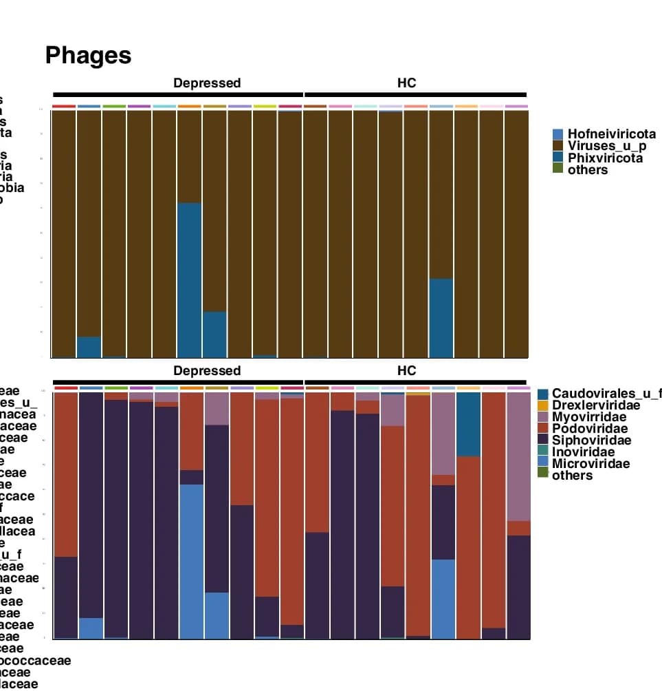 Open access visualization of Stacked Bar Plot, Phages