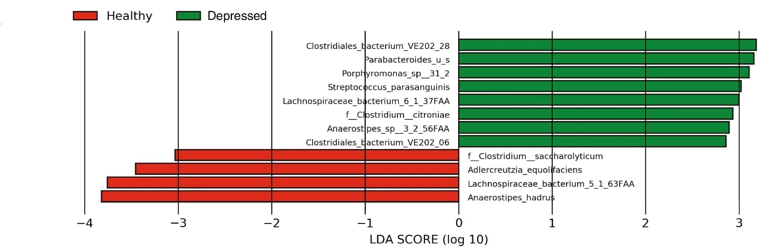 Open access visualization of Bar Plot, Linear Discriminant Analysis, LEfSe, Depressed Patients, Healthy Controls