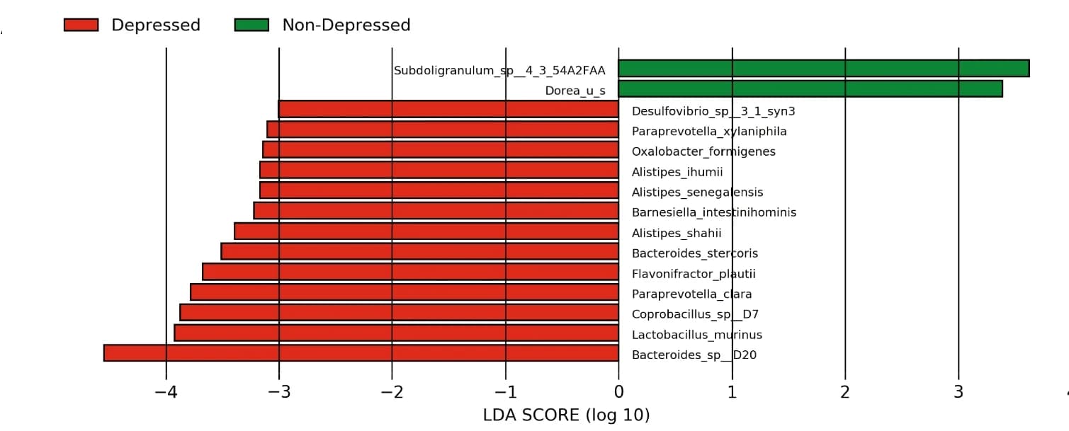 Open access visualization of Bar Plot, Linear Discriminant Analysis, LEfSe, Microbiome, Depressed Patients